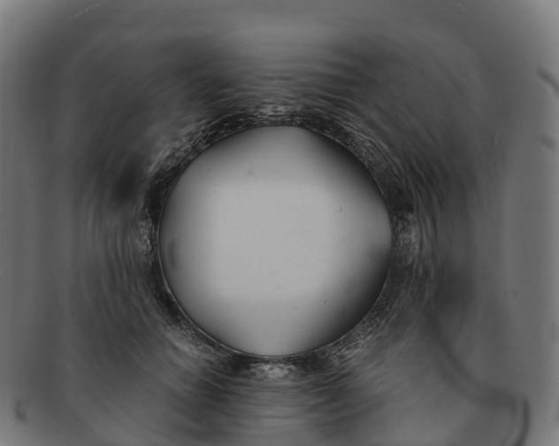 X0000091660654200709131511