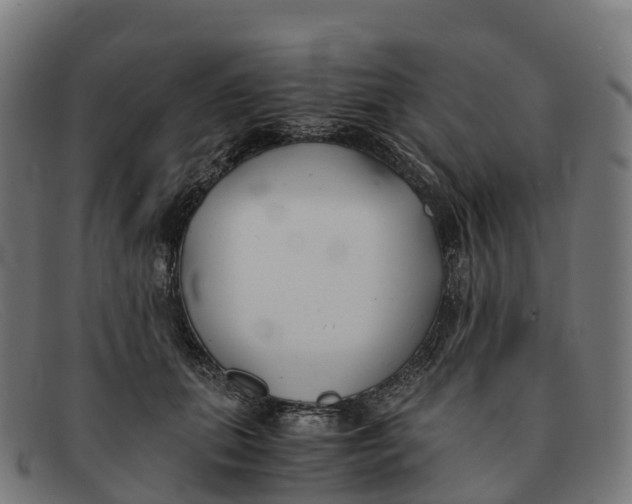 X0000091660655200709131511