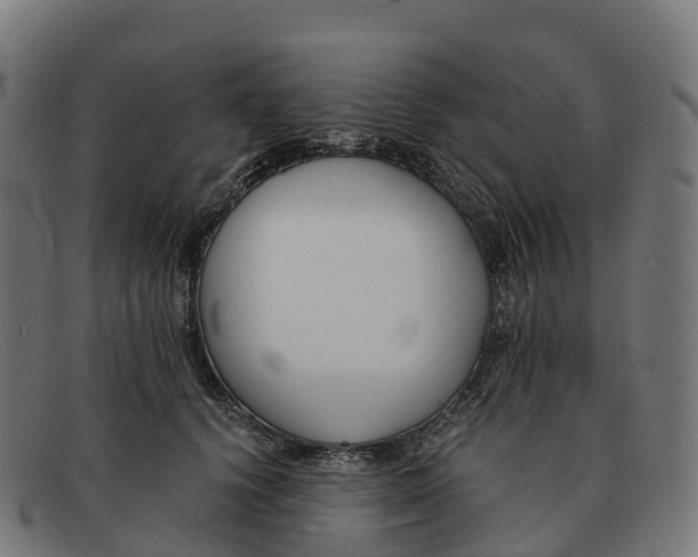 X0000091660656200709131511