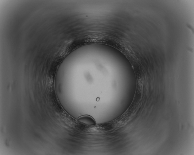 X0000091660657200709131511