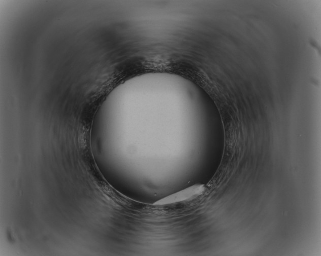 X0000091660658200709131511