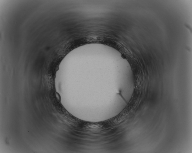 X0000091660659200709131511