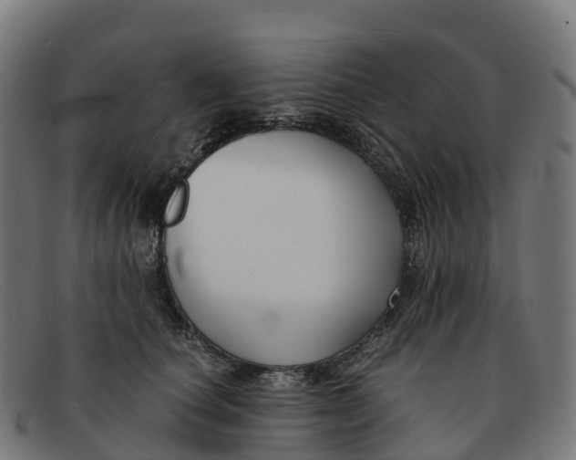 X0000091660660200709131511