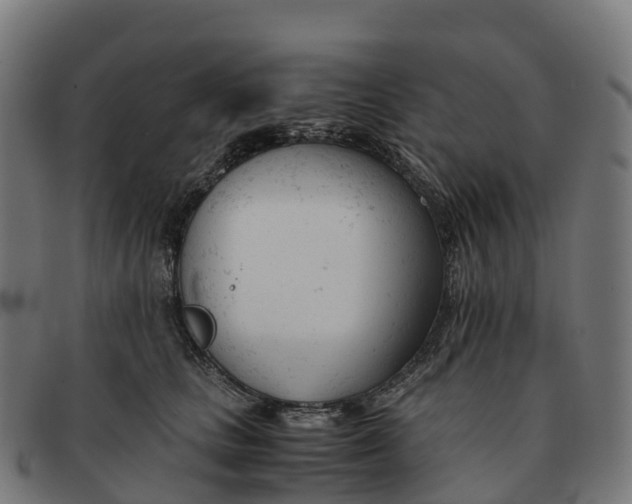 X0000091660661200709131511