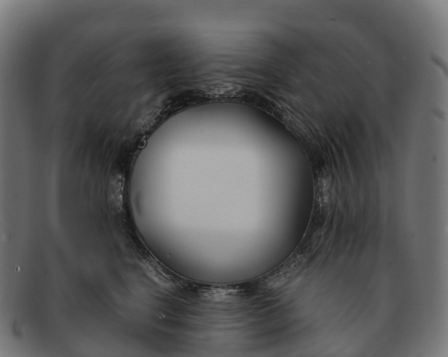 X0000091660664200709131511