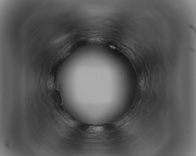 X0000091660665200709131511