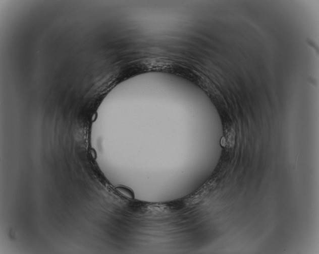 X0000091660666200709131511