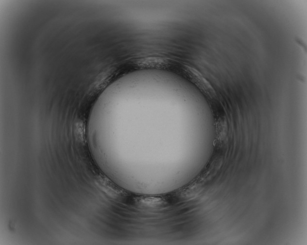 X0000091660669200709131511