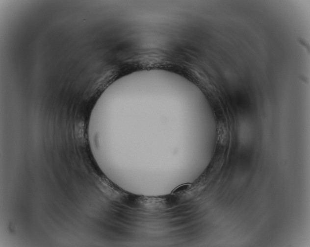 X0000091660670200709131511