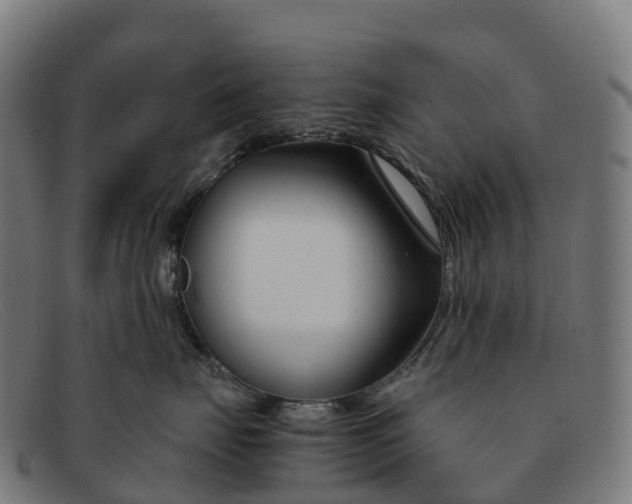 X0000091660671200709131511