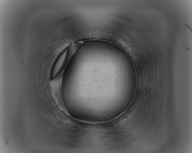 X0000091660673200709131510