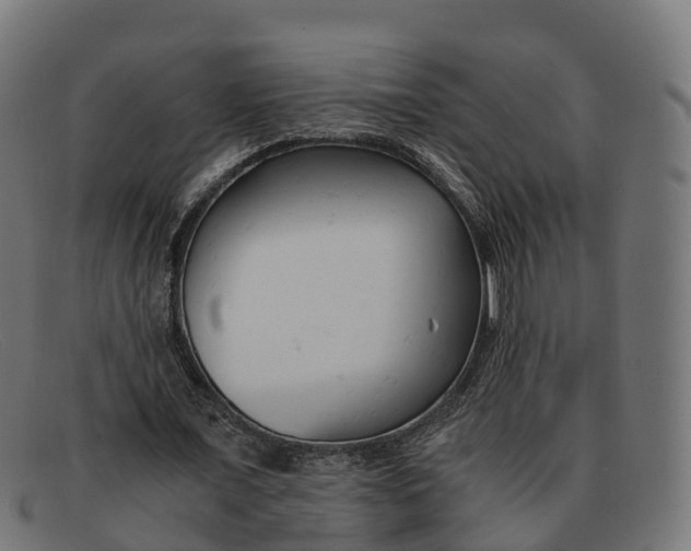 X0000091660675200709131510