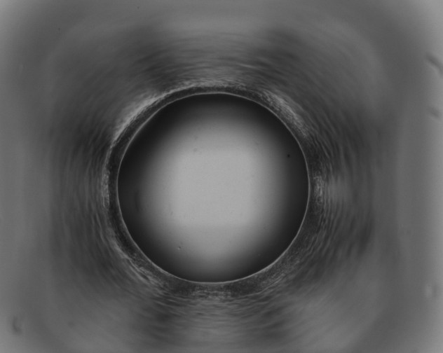 X0000091660676200709131510