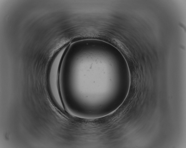 X0000091660677200709131510