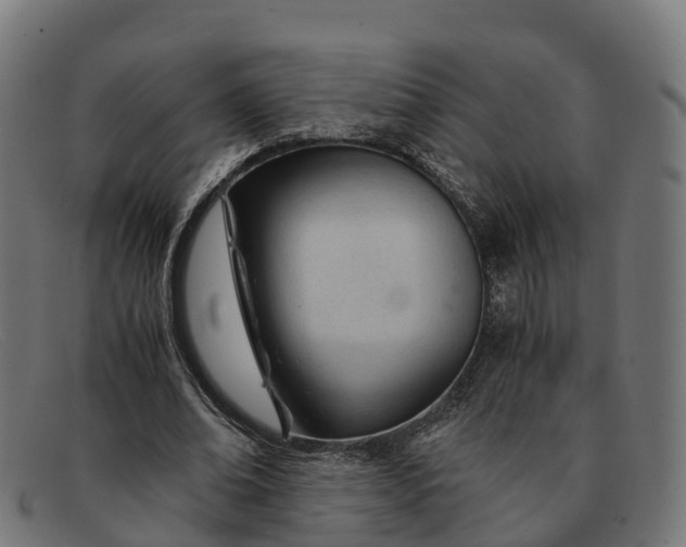 X0000091660678200709131510