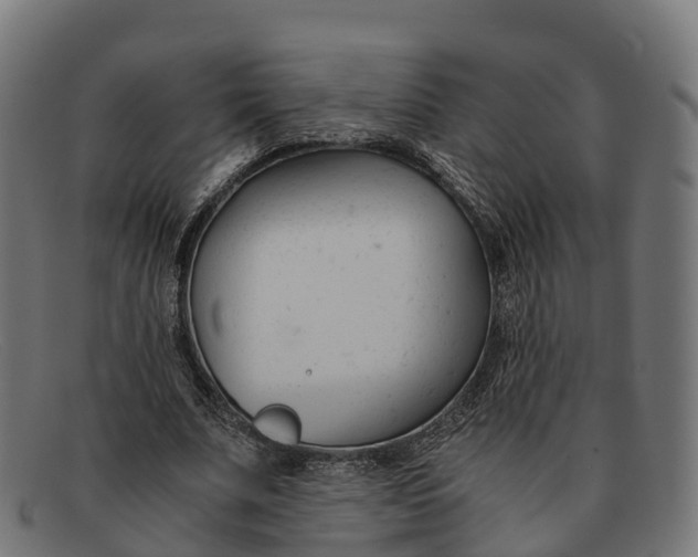 X0000091660679200709131510