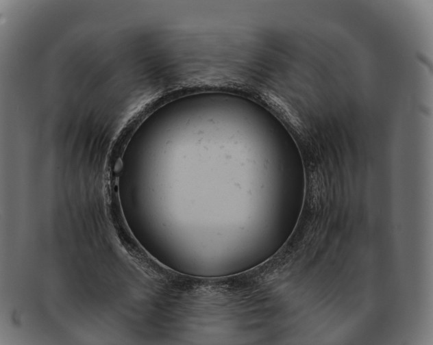 X0000091660680200709131510