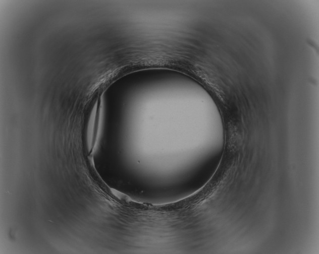 X0000091660681200709131510