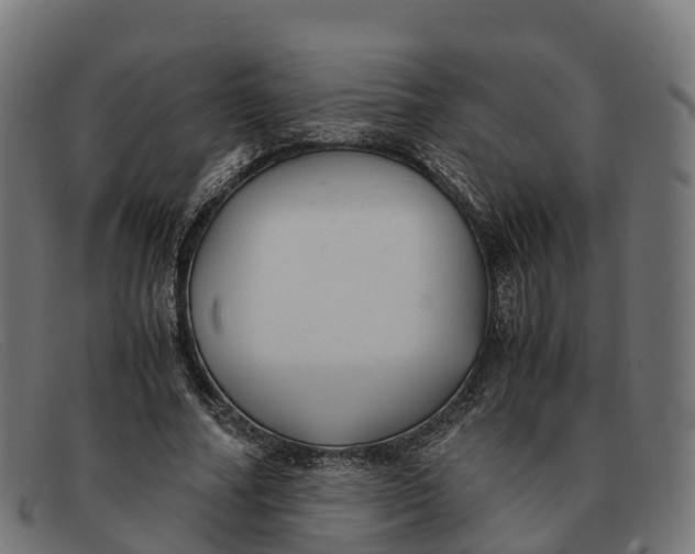 X0000091660682200709131510