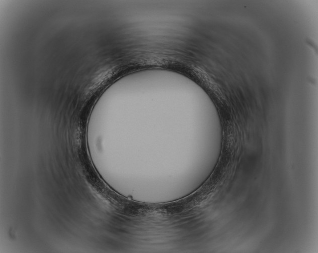 X0000091660683200709131510