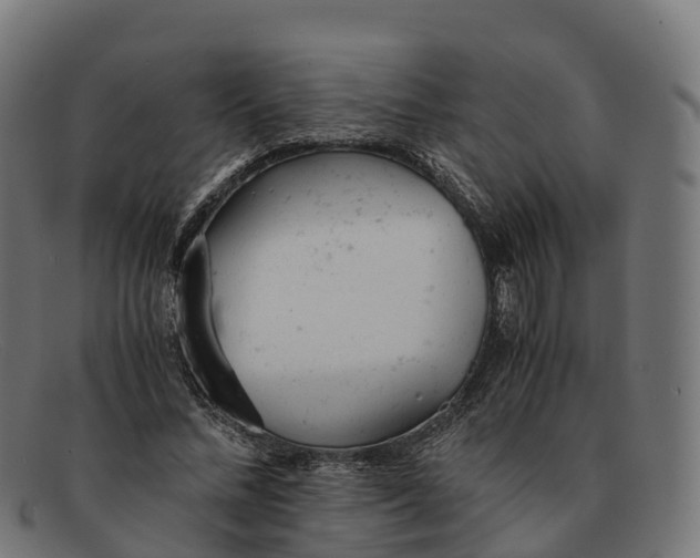 X0000091660684200709131510