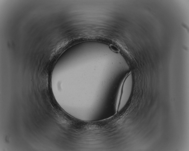 X0000091660685200709131510