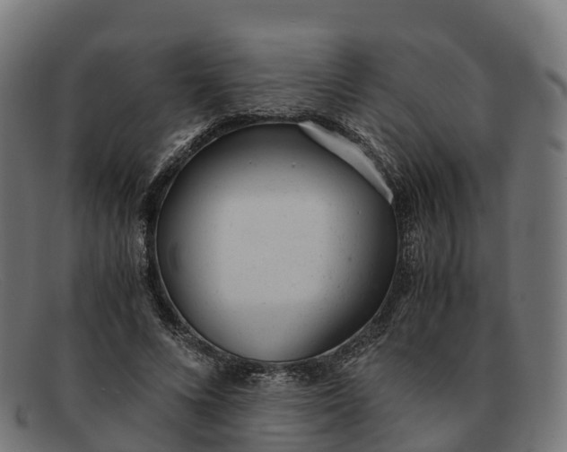 X0000091660688200709131510