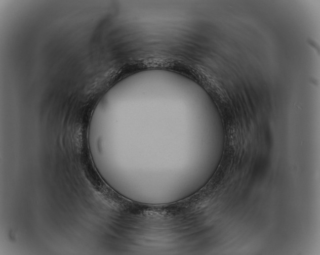 X0000091660690200709131510