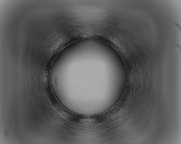 X0000091660691200709131510