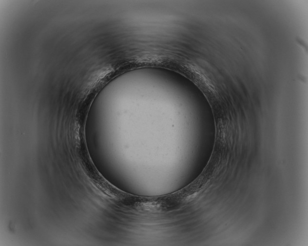 X0000091660692200709131510