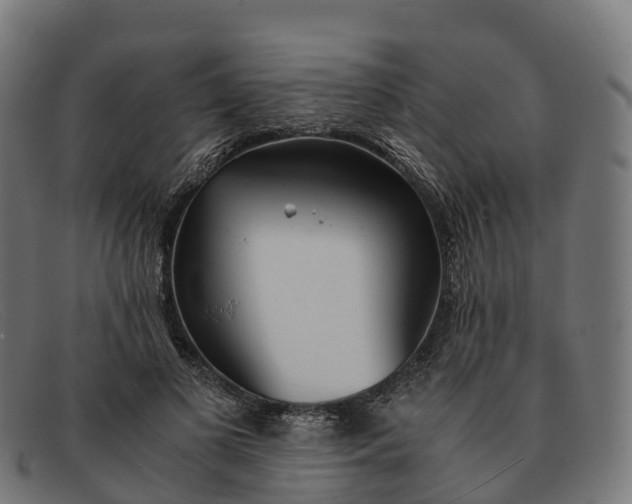 X0000091660693200709131510