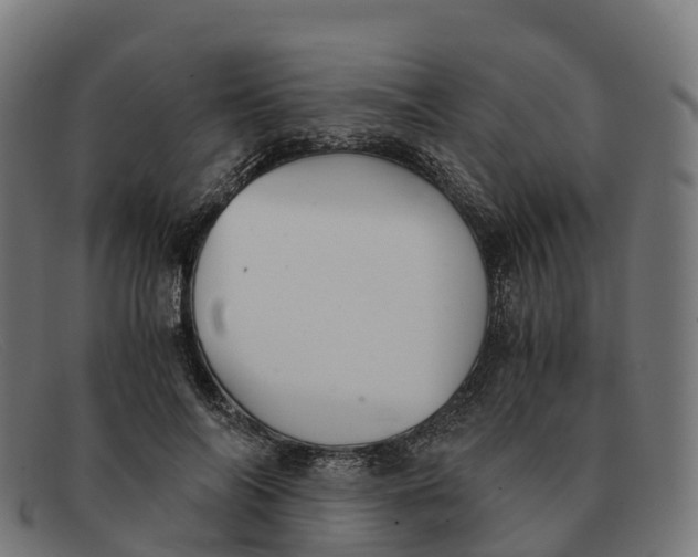 X0000091660694200709131510