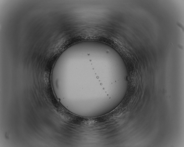 X0000091660695200709131510