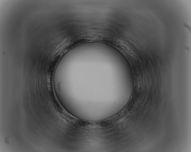 X0000091660696200709131510