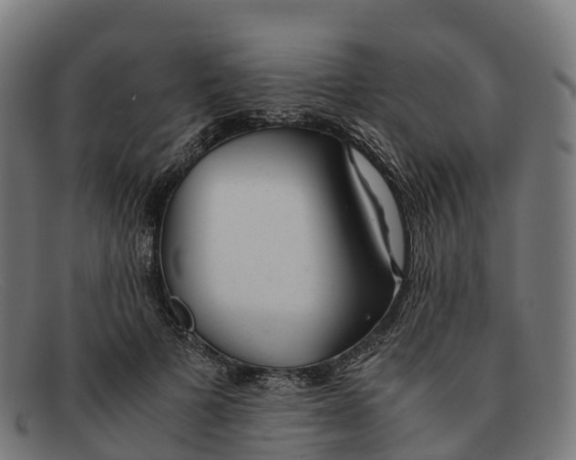 X0000091660697200709131510