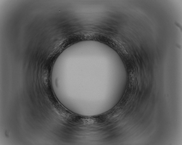 X0000091660698200709131510