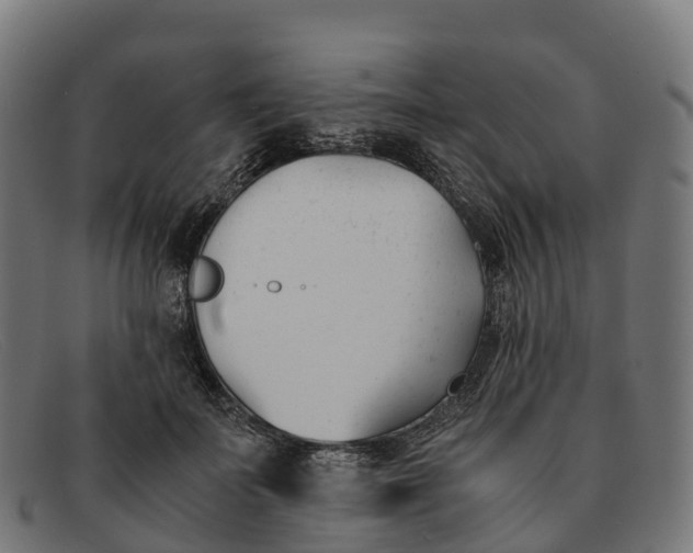 X0000091660699200709131510