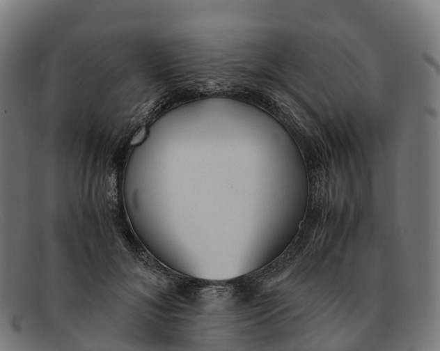 X0000091660700200709131510