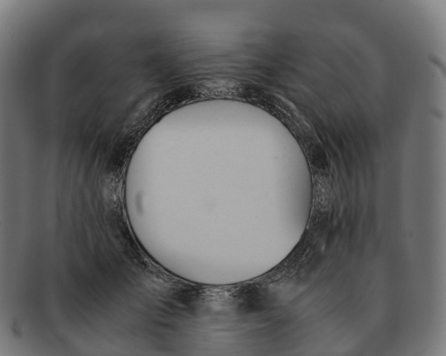 X0000091660701200709131510