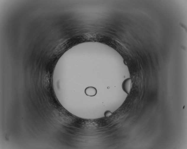 X0000091660702200709131510