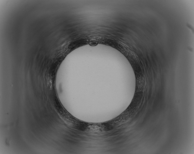 X0000091660703200709131510