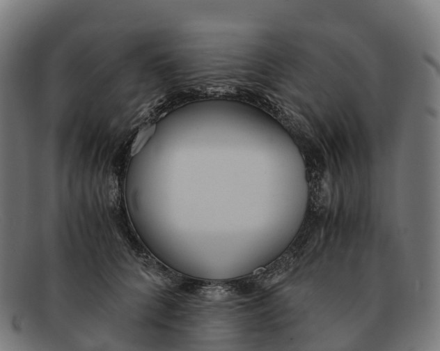 X0000091660704200709131510