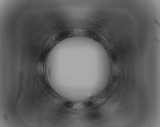 X0000091660705200709131510