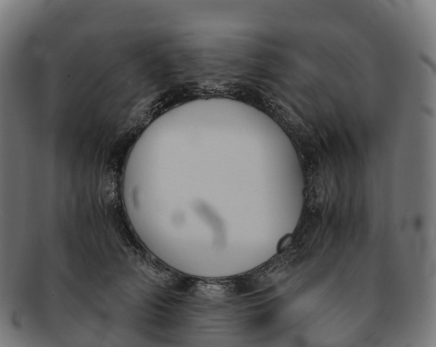 X0000091660706200709131510