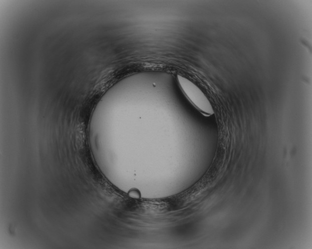 X0000091660707200709131510