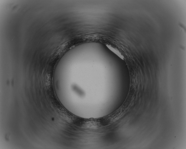 X0000091660708200709131510