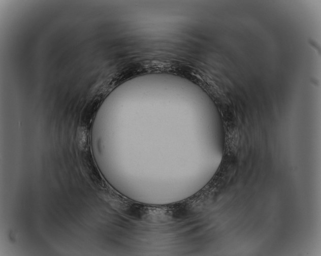 X0000091660709200709131510