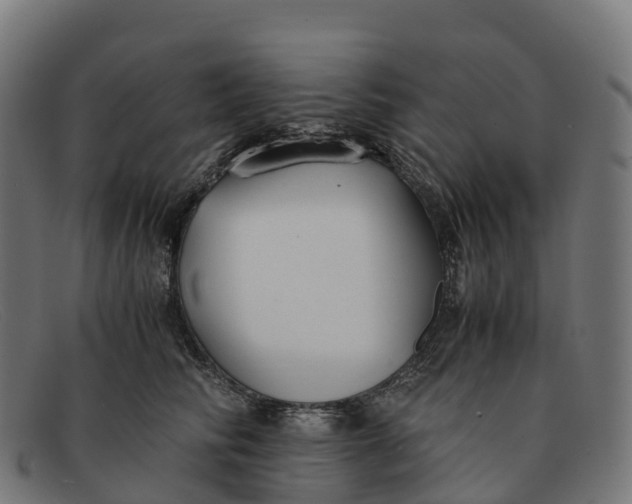 X0000091660710200709131510