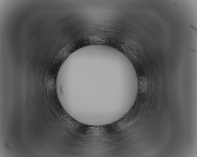 X0000091660713200709131510