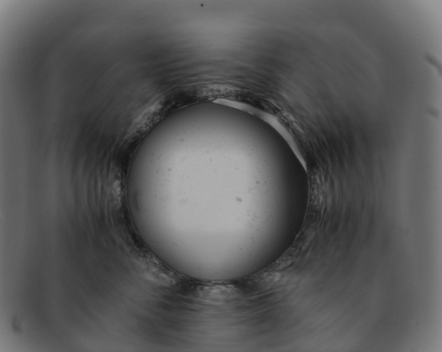 X0000091660716200709131510